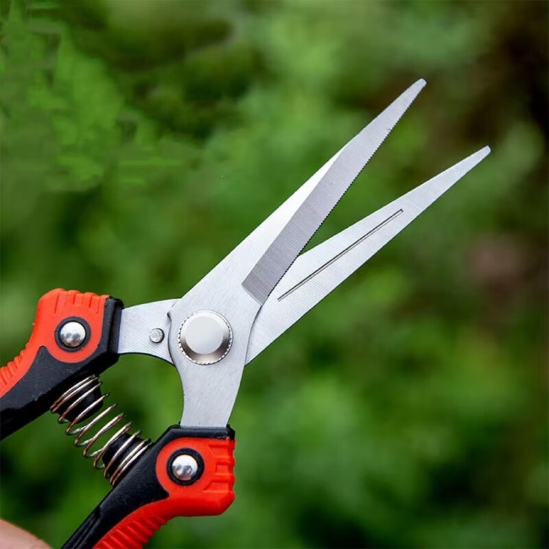 Vinoa powerful and labor-saving fruit-picking scissors, stainless steel serrated gardening pruners, tree, vegetable and fruit gardening tools (serrated version) powerful fruit-picking scissors (random color) 1 set