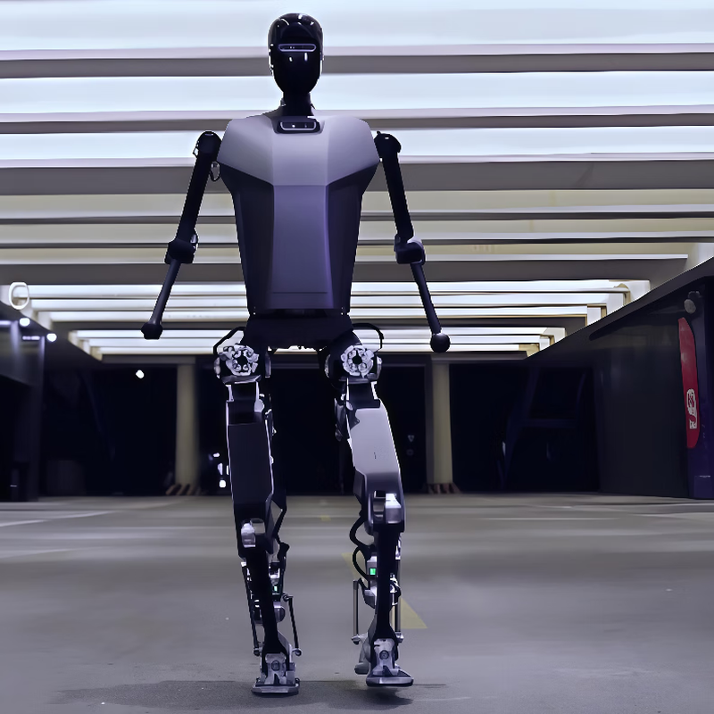 Miss Dolphin Education and Scientific Research Humanoid Robot Nanny Artificial Intelligence Teaching AI Conversation College Experimental Exhibition Hall Scenic Area Guide Commercial Performance Hotel Service Industry Explanation Robot Science Common Knowledge Intelligent Robot Waiter AI Artificial Intelligence Scientific Research Robot