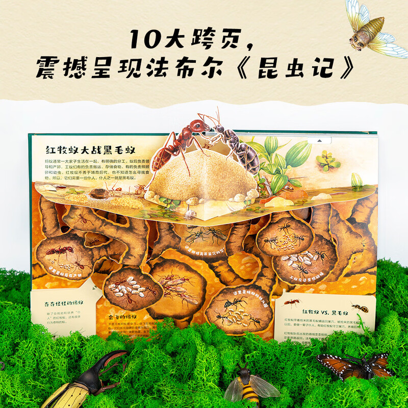 Diary of Insects pop-up book, natural science enlightenment, parent-child reading (10 large spread pages, 38 three-dimensional interactions, 50 insects, hundreds of knowledge points, shocking presentation of Fabre's 