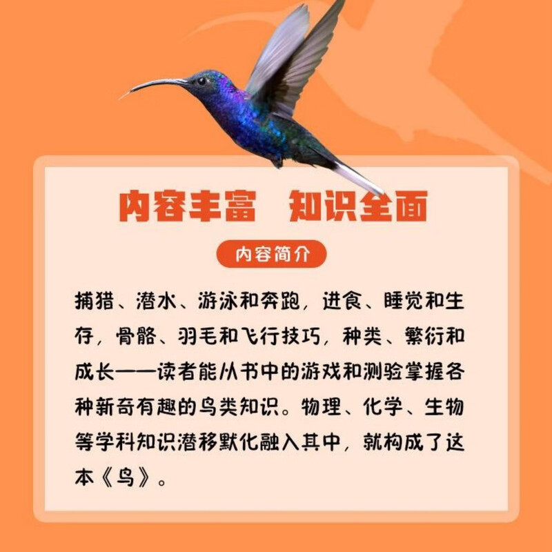 DK Animal Encyclopedia Series Birds