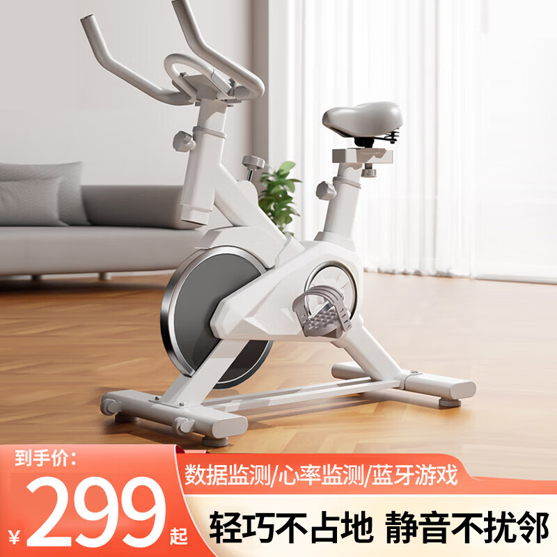DZQ Spinning Bike Magnetic Control Exercise Bike Home Indoor Exercise Bike Home Silent Gym Exercise Equipment Pedal Simple Model - No Electronic Watch - No Heart Rate Monitoring