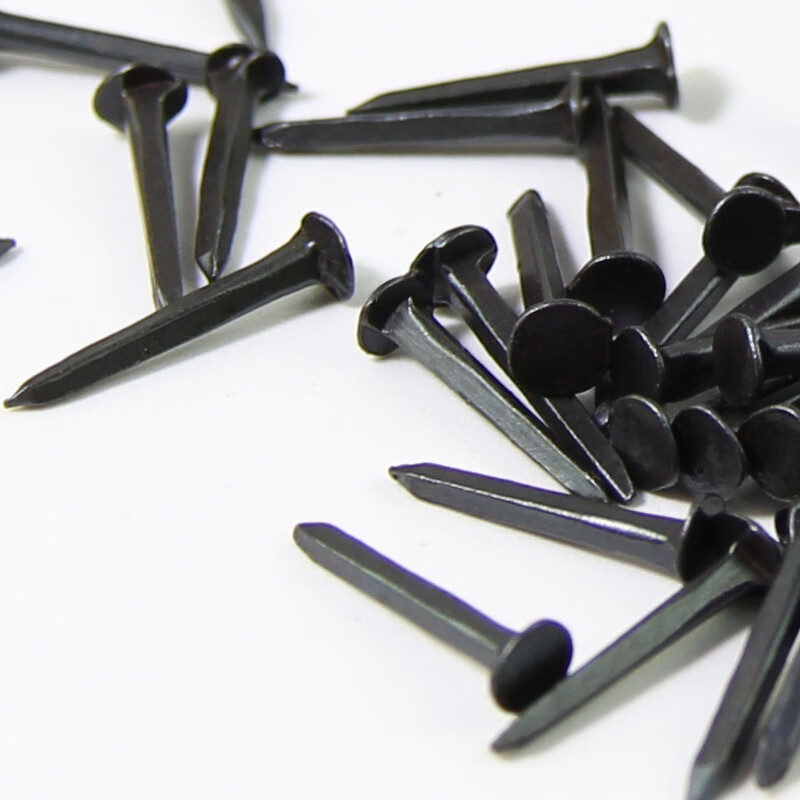 An Junsheng nail shoe repair nail carpentry small iron nail household small nail thin glass nail mirror nail buckle black nail 19 mm (100 pieces)