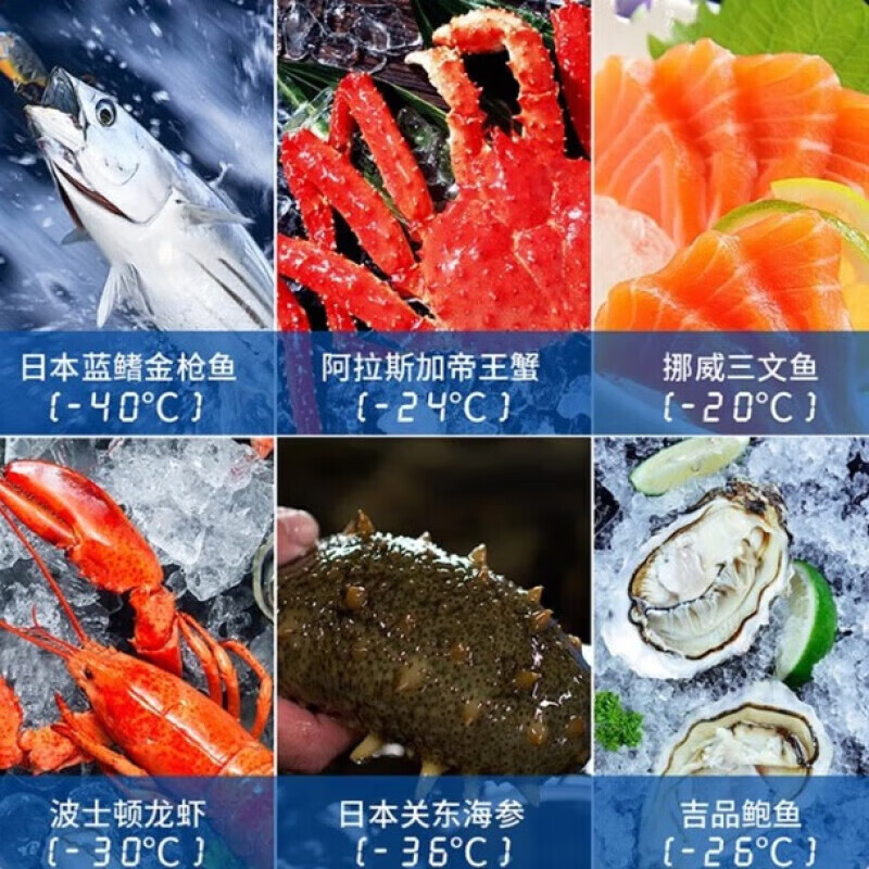 Bailey Freezer 500 liters or more large freezer commercial electronic temperature control ultra-low temperature cabinet freezer - 40 degrees large capacity horizontal freezer seafood cabinet large deep-freezing quick freezing 620 liters minus 40 length 1.88 meters