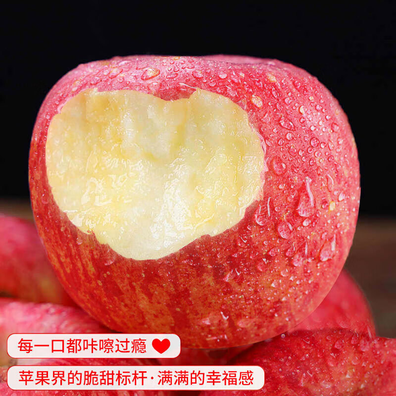 Jingdi Dalochuan Apple Fruit Shaanxi Red Fuji Festival Gift Net Weight 8.5 Jin Single Fruit 85mm + Direct Shipping from the Source