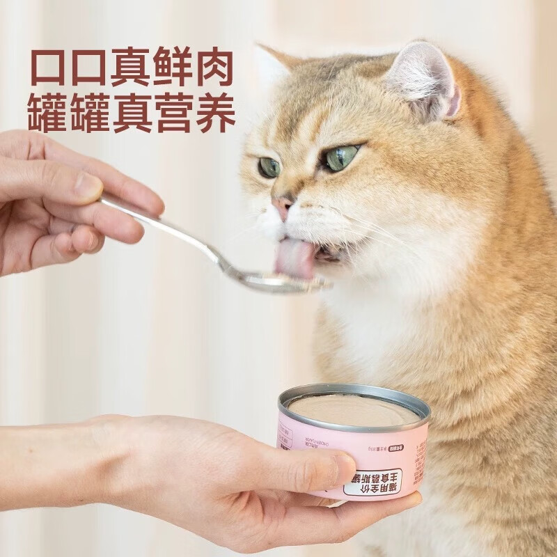 Jingu full-price staple food canned cat wet food, hydrating chicken flavor 85g*6 cans, the same style for Deng Feng’s cats
