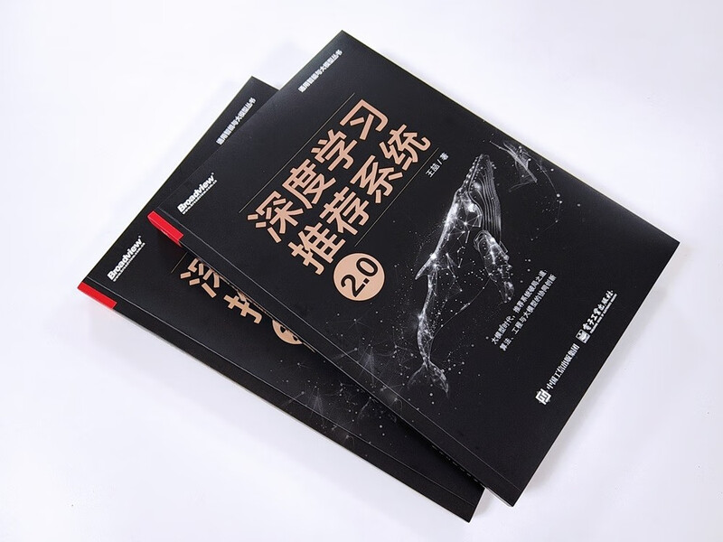 Deep Learning Recommendation System 2.0 (Full Color) (Produced by Bowen Viewpoint) Breaking Points of Large Model Recommendation System Multi-modal AIGC Algorithm Computational Advertising Search Engine