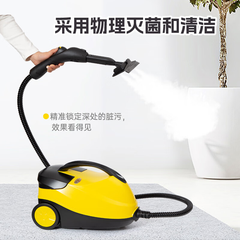 High-temperature steam cleaner, high-pressure cleaner, kitchen, sofa, carpet, car film, color change, multi-function cleaning, 220V Chinese standard housekeeping cleaning configuration RBS-6816A
