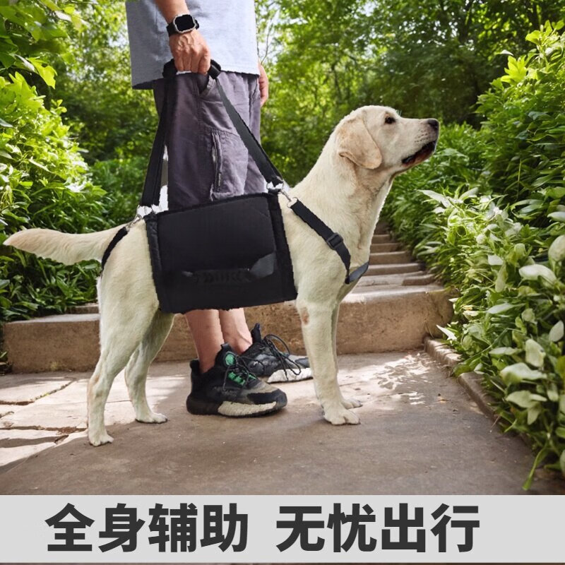 CLCEY dog hind leg auxiliary belt for medium and large dogs, elderly dogs, walking auxiliary belt for pets going up and down stairs, black 2XL size (recommended weight 72-118 catties)
