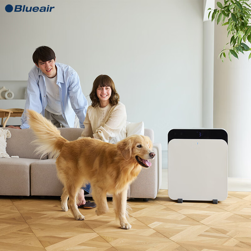 Blueair air purifier removes formaldehyde in new house, urgent move-in to home bedroom, removes smoke and odor, cat hair purifier 303 380IF upgraded model CP7i home appliances national subsidy