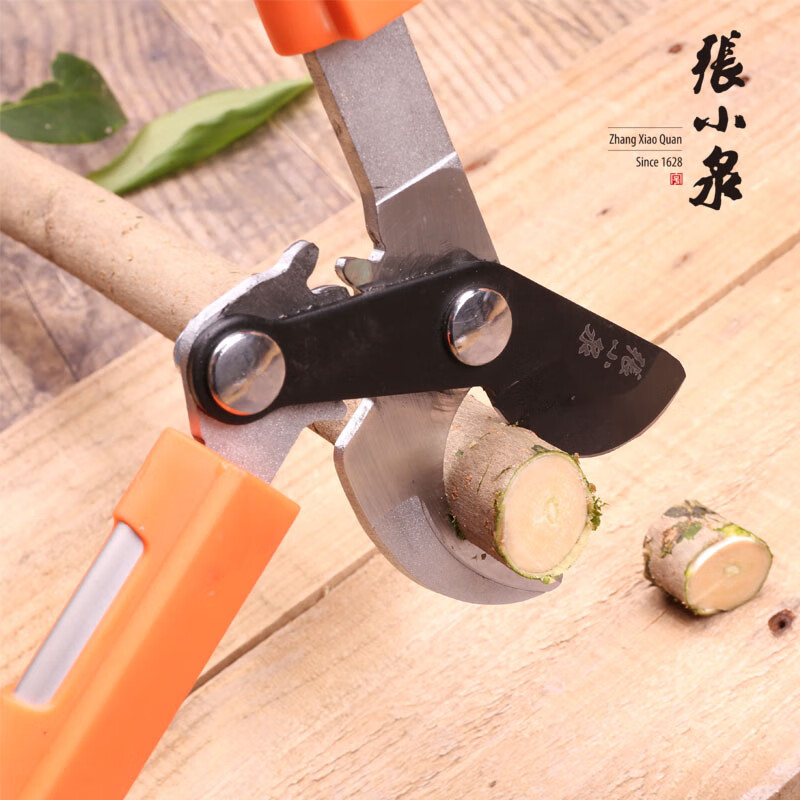 张小泉果树强力粗枝剪园林剪枝园艺大剪刀省力修剪树枝剪刀大力剪 S10800200不可伸缩粗枝剪