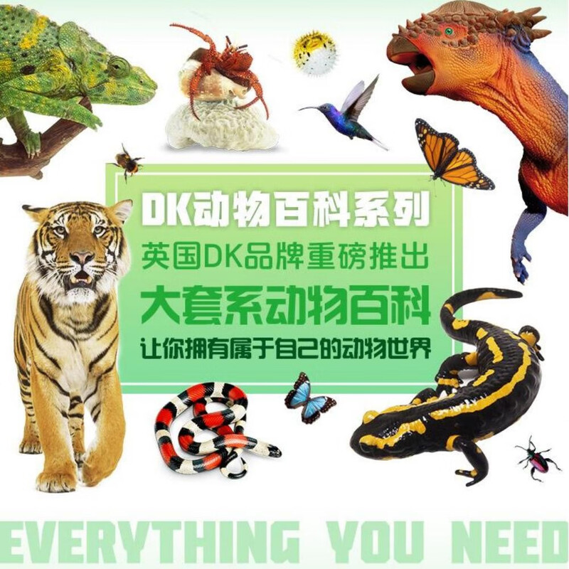 DK Animal Encyclopedia Series Birds