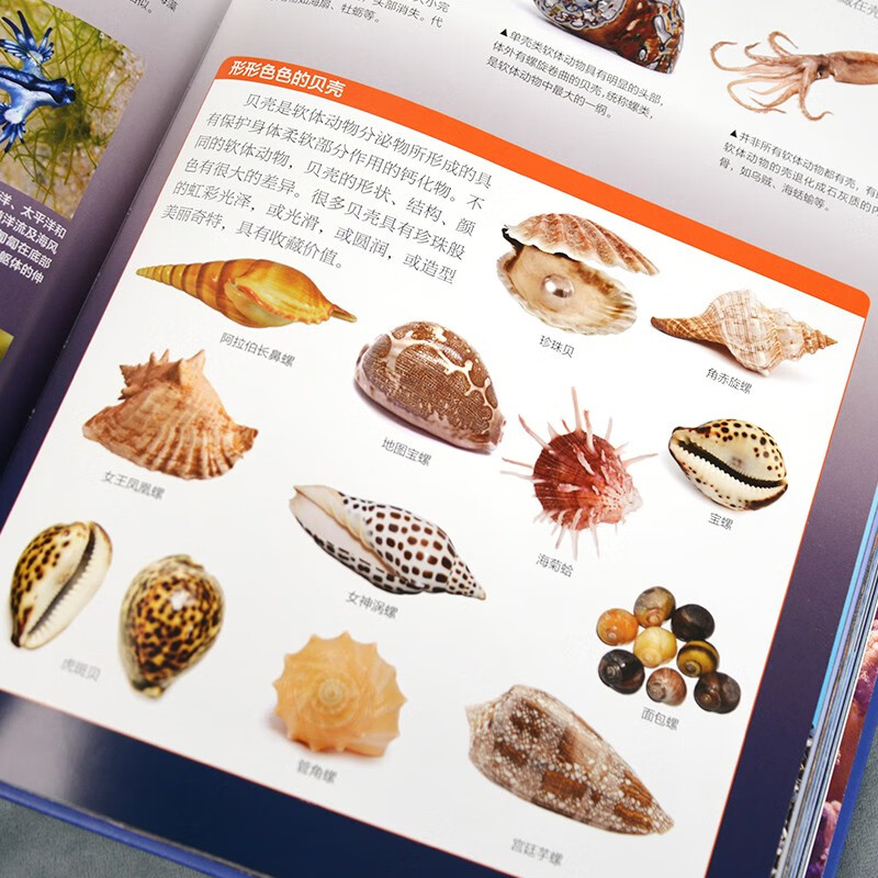Ocean Encyclopedia for Primary School Students, children's science encyclopedia, high-definition full-color pictures, collection-level science popularization suitable for extracurricular reading and vacation reading for primary school students aged 6 to 12 years old