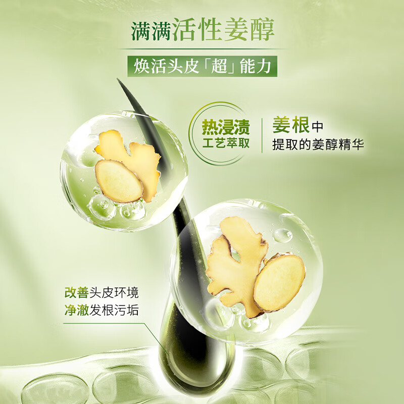 Schwarzkopf Ginger Essence Conditioner 600ml Nourishes and Repairs Hair Roots Conditioner for Oily Hair