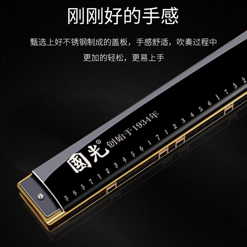 Guoguang harmonica professional performance level 28-hole accented German imported gongs 24-hole polyphonic C key beginners entry lettering 24-hole polyphonic silver + learning materials with phonetic symbols