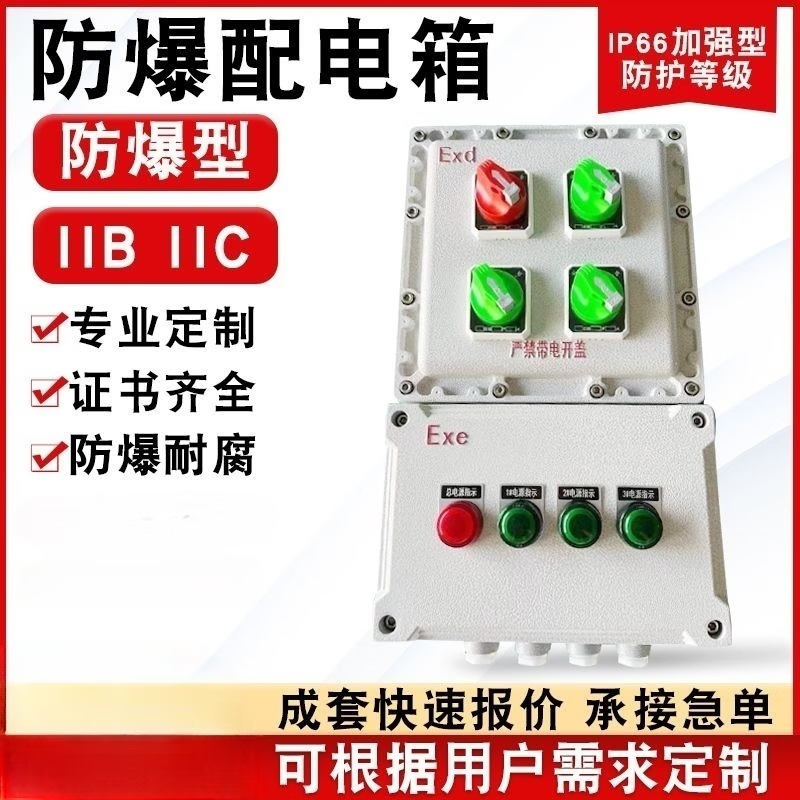 Explosion-proof distribution box control box lighting power box maintenance power socket box switch electric control cabinet stainless steel customization complete set of three circuits + main switch_EXde_IIBT4_6