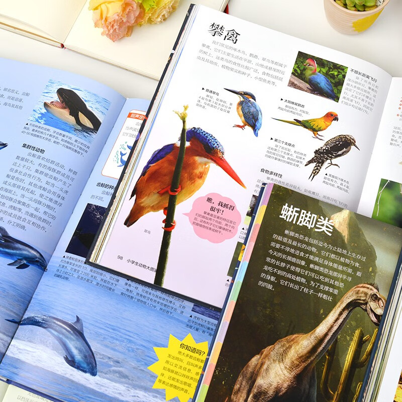Big illustrated book for primary school students Dinosaurs + Animals + Ocean + Insects + Science (5 volumes in total) Children's popular science encyclopedia, high-definition full-color pictures Extracurricular reading and holiday reading