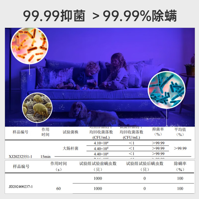 Hoover carpet and fabric professional cleaning machine, home commercial, hotel billiard room cleaning and suction all-in-one, 4 bottles of cleaning fluid + disc brush + host