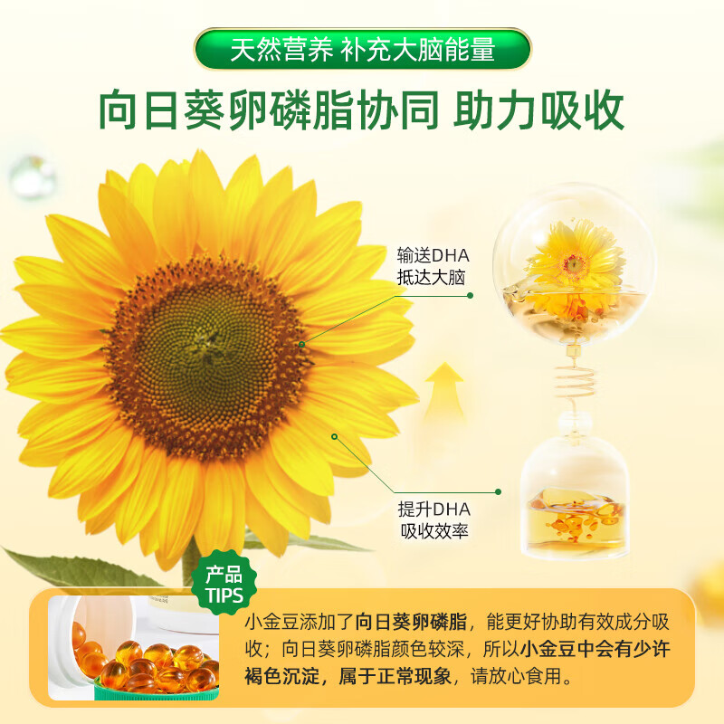 ChildLife explosive beads small golden beads dha algae oil 0 antiseptic infants and children students deep sea fish oil brain supplement dha algae oil DHA capsules 60 capsules * 1 bottle natural algae oil