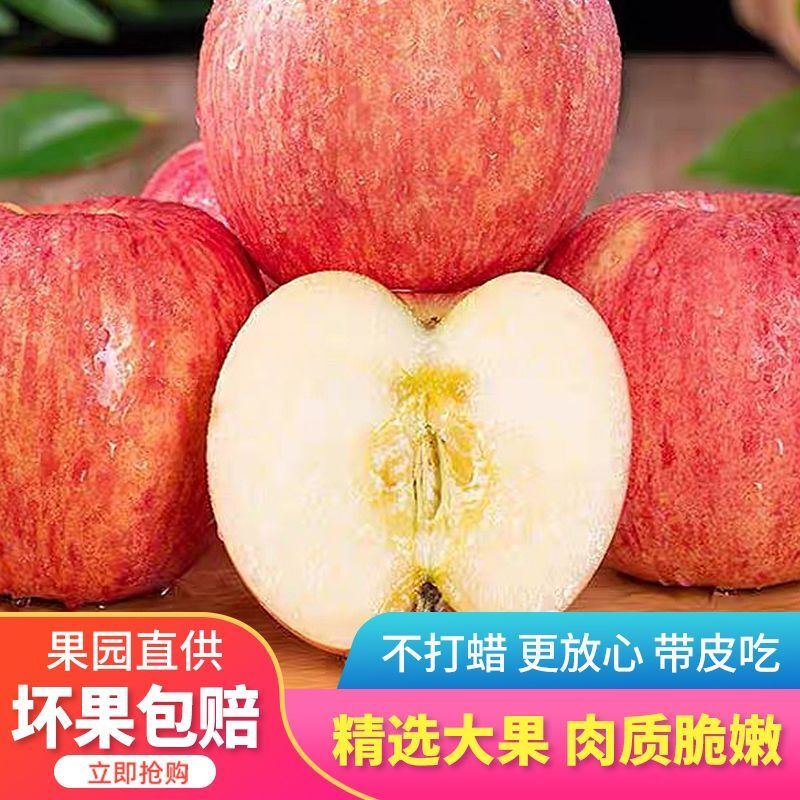Crisp and sweet red Fuji apples, Shandong Yantai Qixia ugly apples, fresh fruit, whole box, 9-10 catties in box, sweet and medium-sized fruit