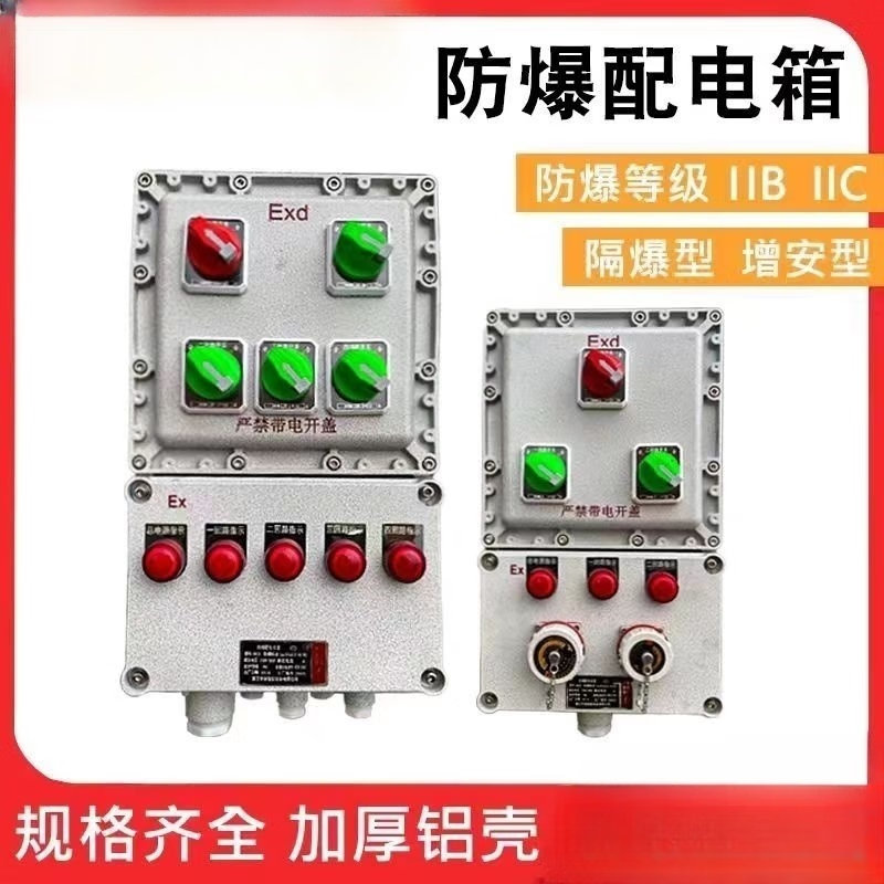 Explosion-proof distribution box control box lighting power box maintenance power socket box switch electric control cabinet stainless steel customization complete set of three circuits + main switch_EXde_IIBT4_6