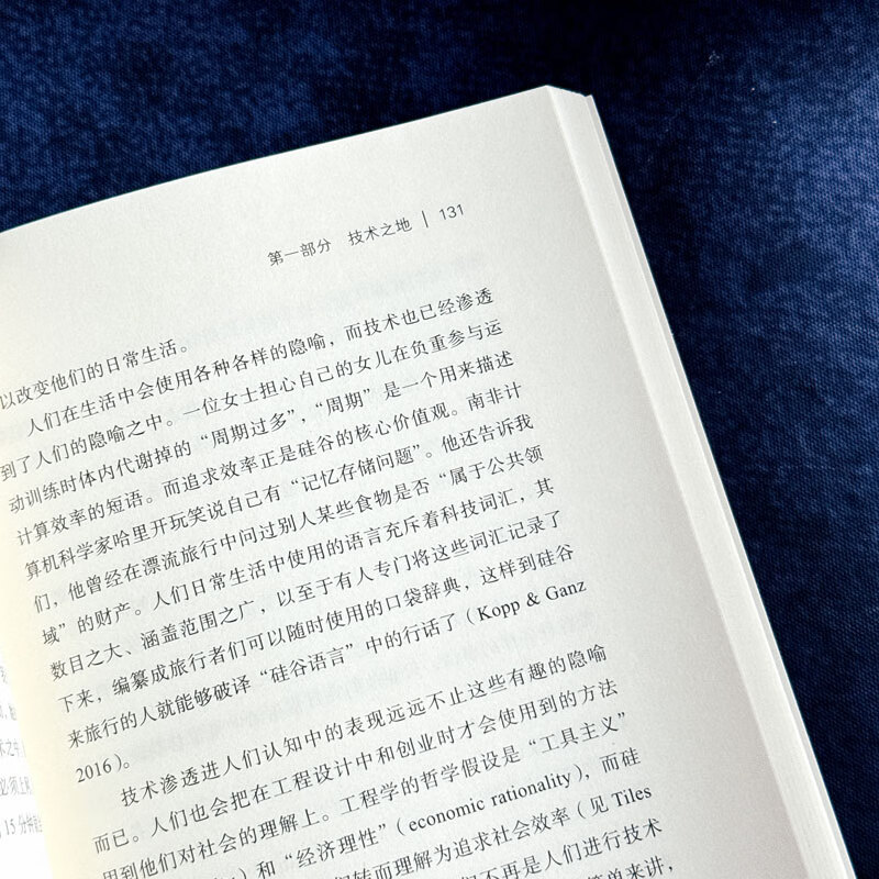 Silicon Valley Culture (Mint Experiment)