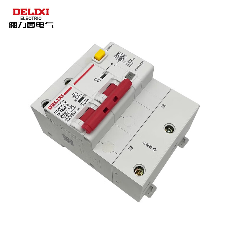 Delixi electrical air switch with leakage protection high power current main gate DZ47LE-125 D type 2P 100A