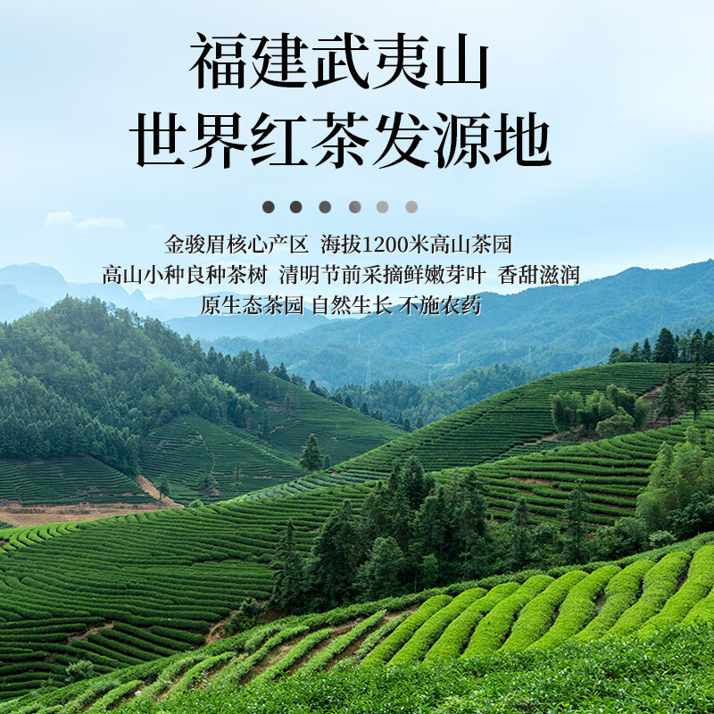 A cup of fragrant tea black tea Wuyishan Jin Junmei 250g 2025 new tea new year's gift box for self-drinking tea