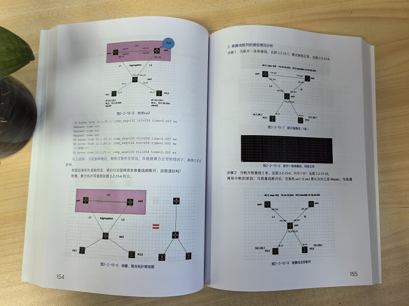 Network Operations and Maintenance from Beginner to Master (2nd Edition)
