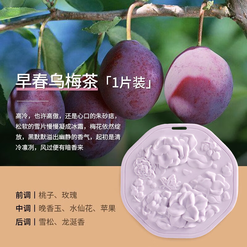 Bodie Wardrobe Special Aromatherapy Wardrobe Gypsum Fragrance Tablets Indoor Long-lasting Fragrance Girls Car Incense Hanger New Year Gift