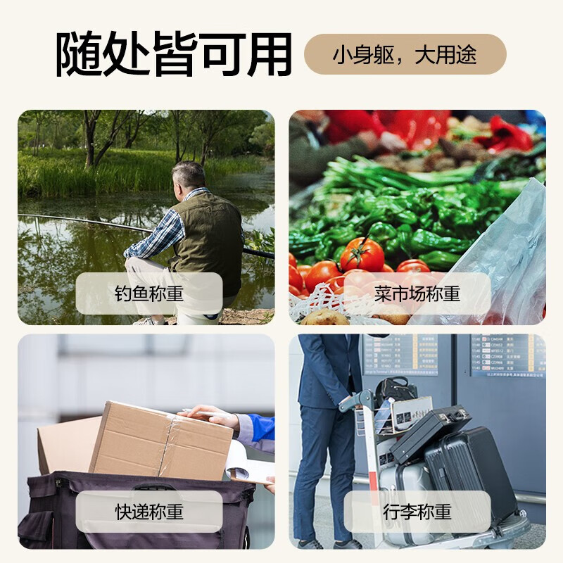 Xiangshan Portable Scale Electronic Scale Portable Scale Gram Scale Weighing Vegetables Express Crane Scale High-Precision Luggage Scale 75kg