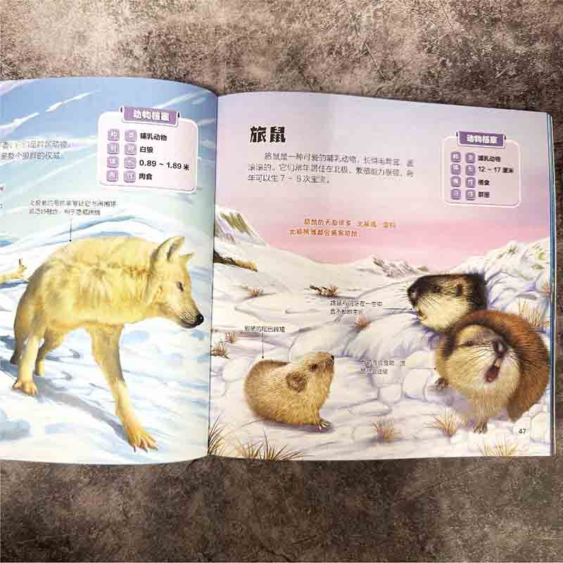 Animal encyclopedia