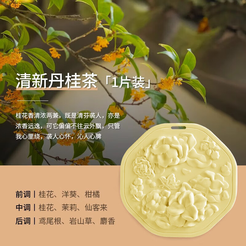 Bodie Wardrobe Special Aromatherapy Wardrobe Gypsum Fragrance Tablets Indoor Long-lasting Fragrance Girls Car Incense Hanger New Year Gift