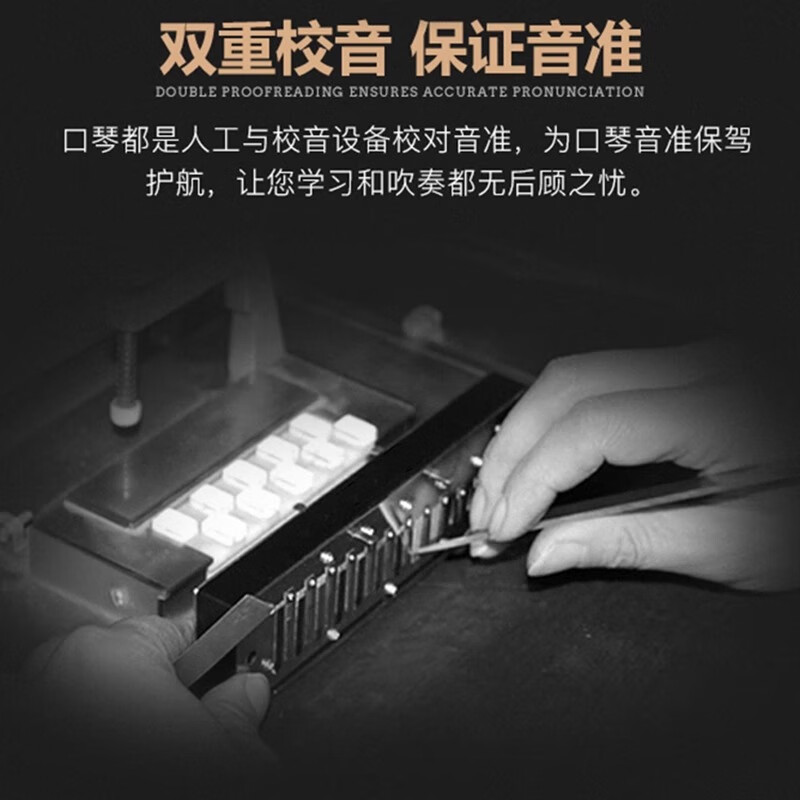 Guoguang harmonica professional performance level 28-hole accented German imported gongs 24-hole polyphonic C key beginners entry lettering 24-hole polyphonic silver + learning materials with phonetic symbols