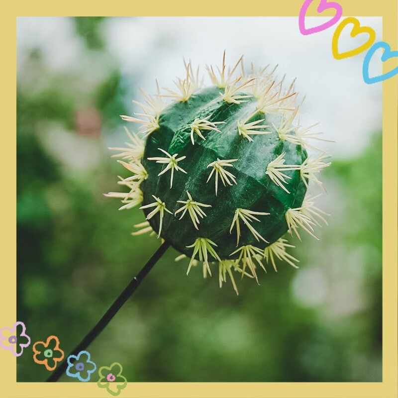 Newong is suitable for BMW mini car antenna decoration, car exterior decoration small objects, roof modification cactus pendulum, cactus-S73