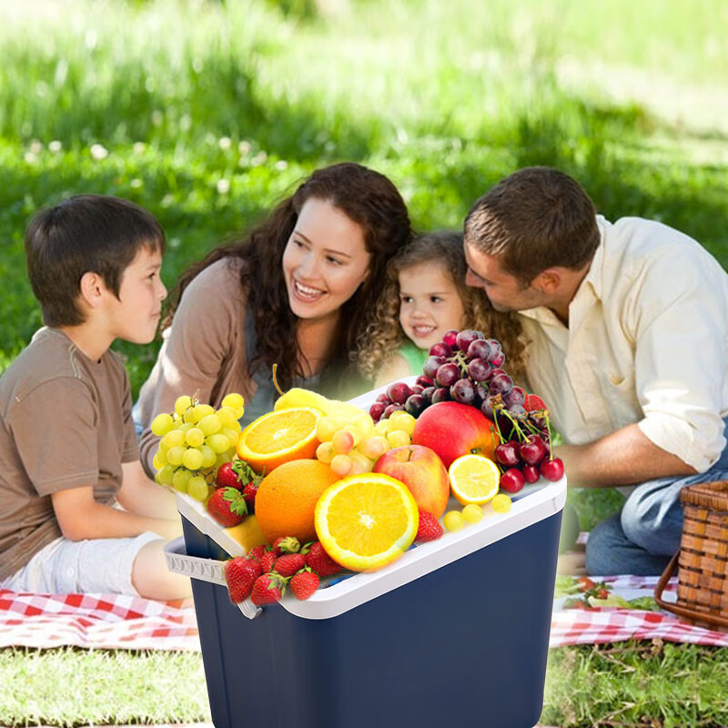 Insulation box car-mounted portable commercial refrigerator outdoor ice bucket stall cold food preservation box wj 10L economical EPS material dark blue free 10 ice