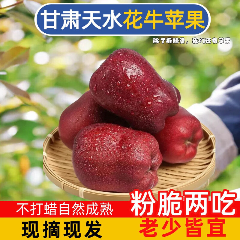 Huaniu Apple Gansu seasonal fresh red snake noodle apple baby food supplement fruit Mid-Autumn Festival gift box Huaniu Apple with box 3 pounds 70MM+