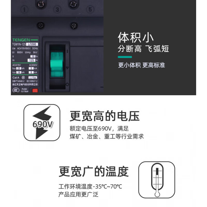 TENGEN Tianzheng Electric TGM1N plastic case circuit breaker main switch 100A125A250A400A630A TGM1N-1250L/33001000A