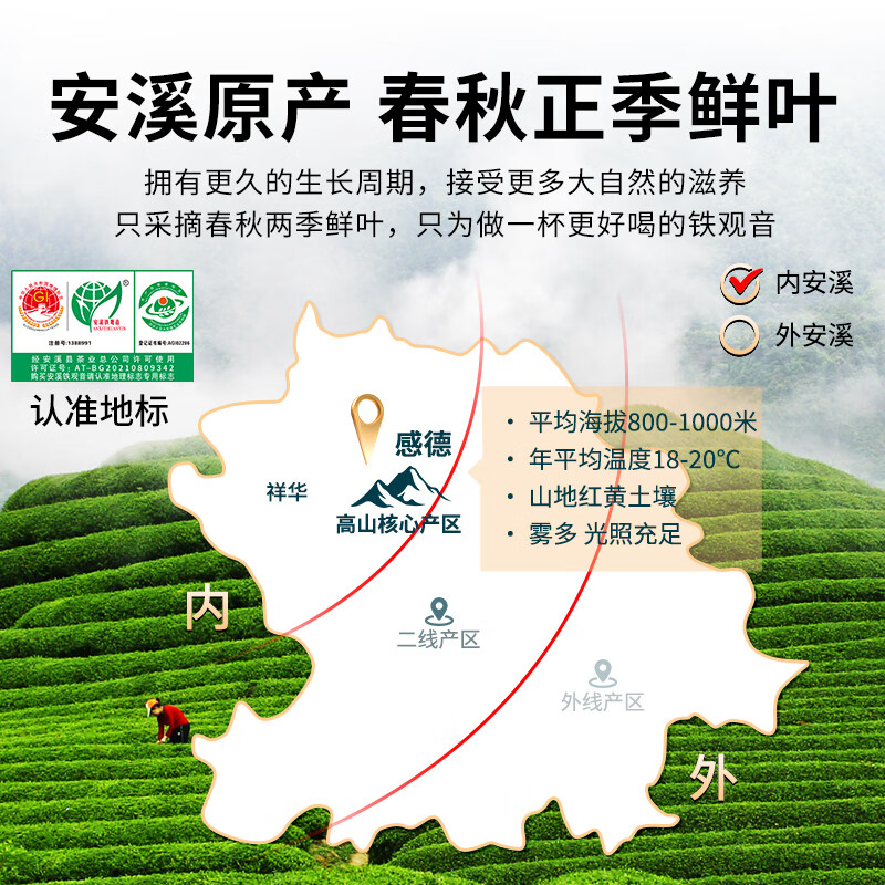 Huiju Spring and Autumn Anxi Tieguanyin Tea Special Grade 2025 New Autumn Tea Fragrance Type Entry Alpine Wild Tea Gift Box New Year's Gift Fresh Fragrance Type Tieguanyin 500g Entry Special Grade