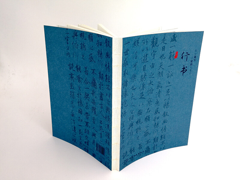 You can also write good calligraphy and running script