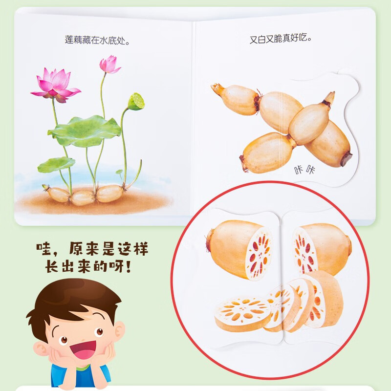 Toddler Food Education Flip Book Fresh Vegetables Complete Set of 5 Early Education Complementary Food Books 2-6 Years Old Children's Enlightenment Picture Book Tear-Free Puzzle Book Baby Touch 3D Three-dimensional Organ Book