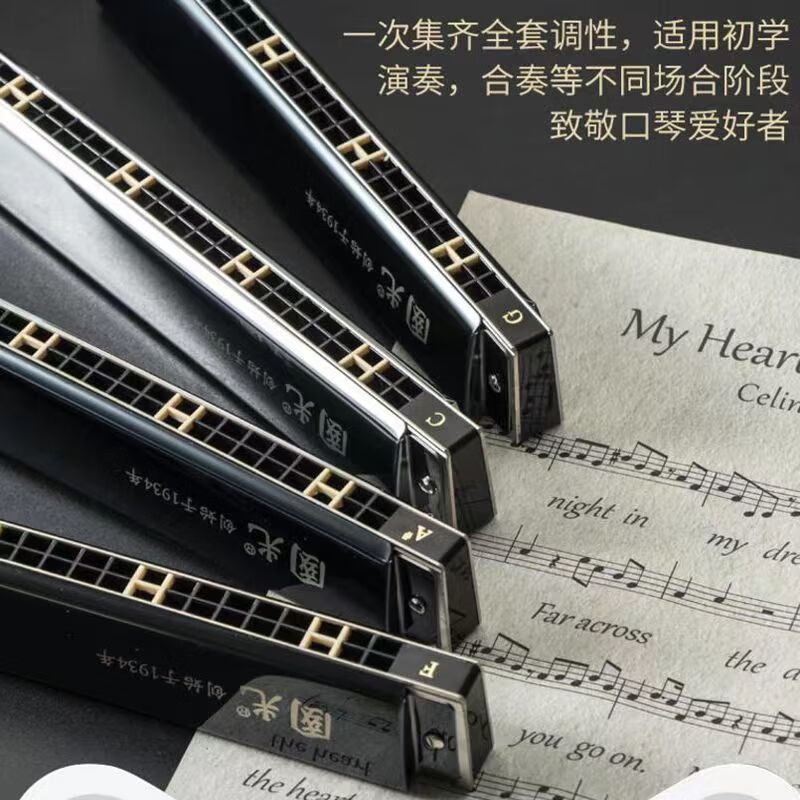 Guoguang 24-hole polyphonic harmonica imported gongs 7-tone set 12-tone set harmonica adult beginner stage performance piano black 7-tone set comes with accompaniment USB flash drive