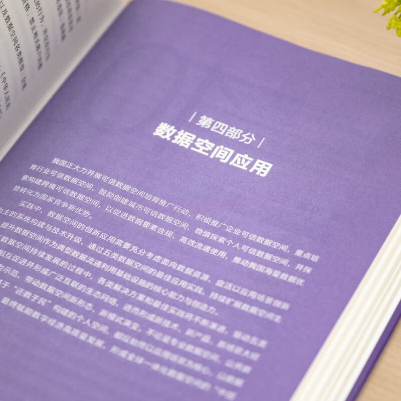 Data Space Knowledge System Guide