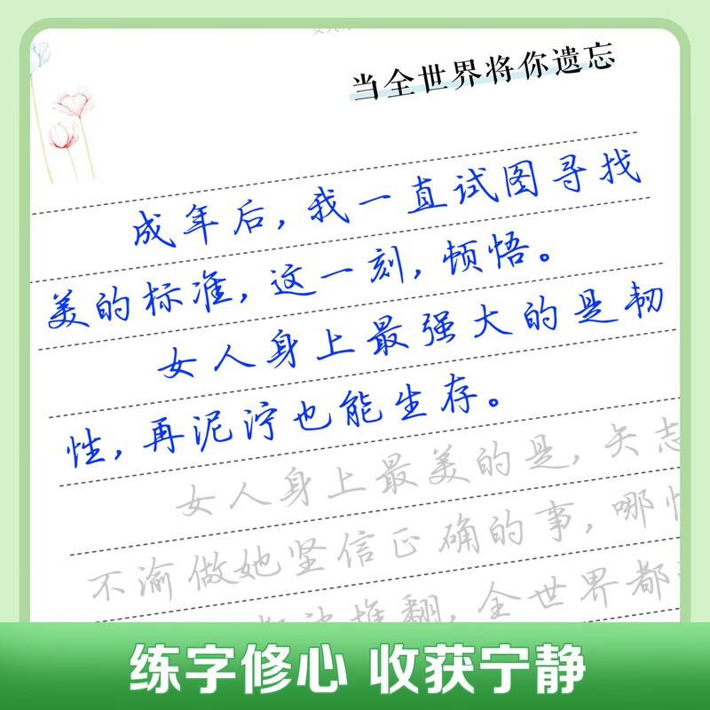 Huaxia Wanjuan, write your life in the way you like, fountain pen copybook for adults, regular script, hard-pen calligraphy practice copybook, regular script copying practice calligraphy book, hairpin flower small regular script copybook for girls, small fresh copybook