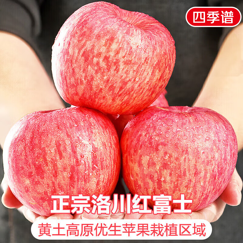 Jingdi Dalochuan Apple Fruit Shaanxi Red Fuji Festival Gift Net Weight 8.5 Jin Single Fruit 85mm + Direct Shipping from the Source