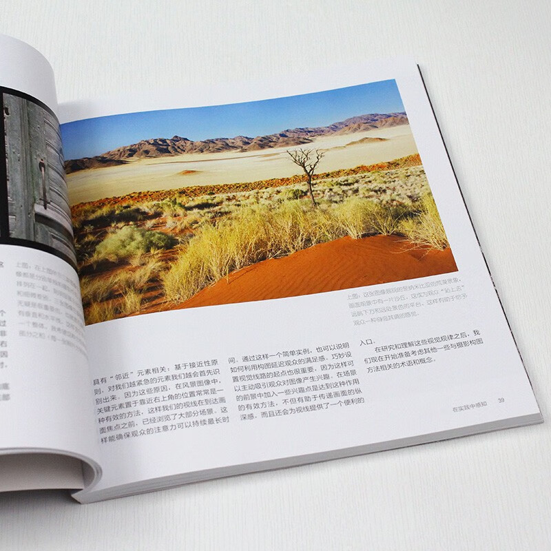 Free Shipping The Art of Photographic Composition, Photographic Aesthetic Enhancement, Photographic Composition Expression, Digital SLR Mobile Phone Photography Book, Introduction to Composition Photography, Self-Study, Produced by Photographers