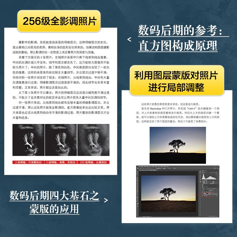 Photoshop digital image processing core techniques ps tutorial book ps post-retouching self-study image processing photography post-production tutorial color correction to improve image quality produced by photographers