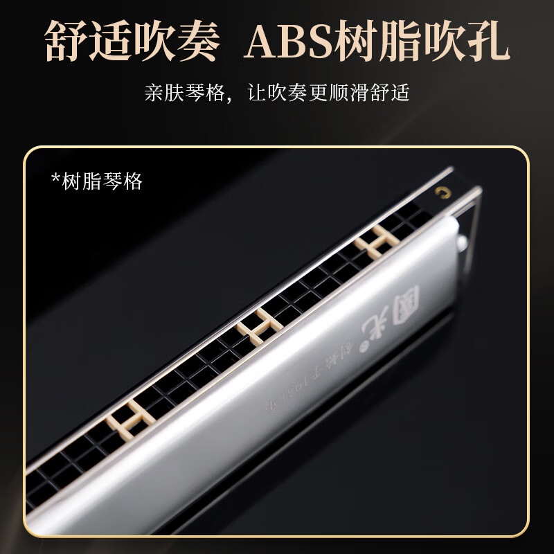 Guoguang professionally plays imported gongs 24-hole limited edition polyphonic C harmonica (luxury silver)
