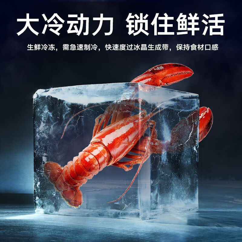 Oaks small freezer household power-saving fresh-keeping freezer commercial energy-saving mini small horizontal freezer breast milk storage cabinet refrigerator national supplement 178 upgraded frost-reducing model | can store 145 pounds of meat 100L