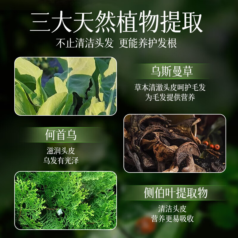 Dyey Hong Kong Pharmaceutical Platycladus orientalis leaf shampoo soap oil control anti-dandruff anti-itch anti-hair loss shampoo polygonum multiflorum herbal soap