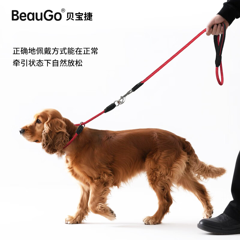 BeauGo Baby Dog Collar P Rope Collar P Chain Collar Large Dog Small Dog Collar Explosion-proof Shock Collar Fluorescent Green Thick Style 75 Total Length Neck Circumference 65-70cm Weight 49-70KG